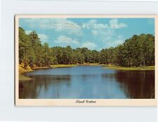 Postcard Placid Waters Greetings from Edgerton Wisconsin USA picture