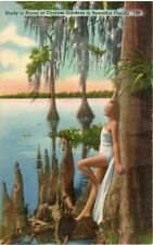 Vintage 1940's Linen Post Card ~ Dancer Relaxing at Cypress Gardens, Florida 159 picture
