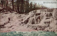 New York City New York Zoological Park Lake Agassiz Falls c1910 vintage postcard picture