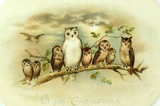 1870's-80's Superb Owls At Moonlight Die Cut Jolly Christmas Victorian Card F88 picture