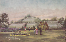 Vintage Postcard The Great Palm House Kew Gardens 1900s A3 picture