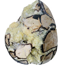 Natural Dragon Septarian Geode Egg Quartz Crystal Rock Reiki Healing 2366G picture