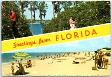 Postcard - Citrus groves & Beach scene - Greetings from Florida picture