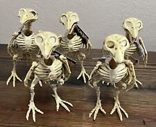 5 Lot Skeleton Plastic Birds Halloween Science Classroom Decoration picture