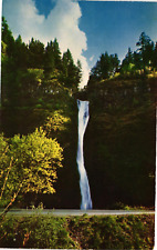 Vintage Postcard - Horsetail Falls 10 Miles From Crown Point Columbia River picture