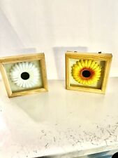 2 Daisy Flower Picture In Small Glass Frames picture