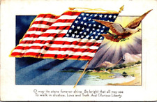 Vintage WB Postcard~Patriotic Series No.252~Embossed~Eagle~American Flag~c1915 picture