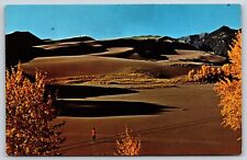 Alamosa Colorado~Great Sand Dunes Nat'l Monument~Marty Waits For Doc~Vintage PC picture