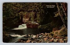 Victoria British Columbia- Canada, Goldstream Bridge, Antique, Vintage Postcard picture