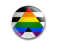 Straight Ally Pride Flag Badge- 25mm/1 Inch x1 x12 x20 x50 x100 LGBTQ picture
