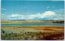 Postcard Colorado River USA North America picture