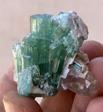 155 Carats beautiful Tourmaline with quartz bunch Specimen From Afghanistan picture