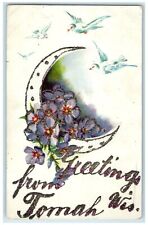 c1910 Greetings From Embossed Flowers Glitter Tomah Wisconsin Vintage Postcard picture
