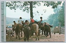 Postcard A Horse A Horse My Kingdom For A Horse Circle C Trails NH picture