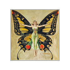 Fantasy Butterfly Fairy Refrigerator Fridge Gift Magnet  World Wide picture