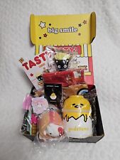 New in the  Box LOOT CRATE ❤️ Sanrio 
