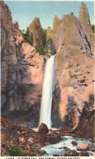 Vtg Postcard (Haynes) Tower Fall 132' & Towers Yellowstone Natl Park WY Unposted picture