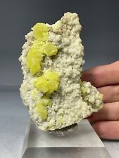 SS Rocks - Sulphur with Calcite (Maybee, Michigan) 102g picture