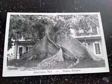 Silk Cotton Tree Nassau Bahamas RPPC Real Photo Postcard picture