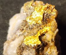 Gold Ore Specimen 7.9g Thick Crystalline Gold - 2527 From Ontario picture