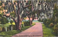 Beautiful Trees On The Road, A Scene On US Highway 301 In Dixieland Postcard picture