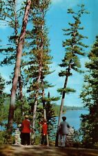 Scenic Lake Itasca From Douglas Lodge People Minnesota Vintage Postcard Unposted picture