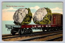 VINTAGE A CARLOAD OF CALAFLOWER ON FLATCART TRAIN BY EDW H MITCHELL POSTCARD EE picture