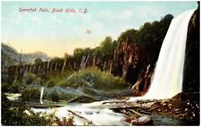 C1910s Black Hills SD Spearfish Falls Waterfall Unused South Dakota Postcard 515 picture