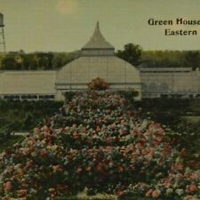 GREEN HOUSE, PLANT'S ESTATE, EASTERN POINT, CONNECTICUT picture
