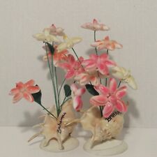 Vintage Bahamas Seashells Flower Arrangement Decor Souvenir, L 8