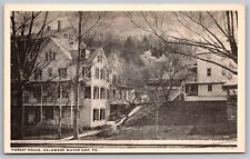 Pennsylvania Delaware Water Gap Forest House Historic Streetview BW Postcard picture