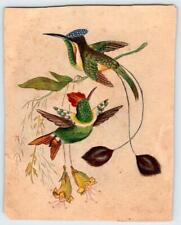 1880's SMALL ORIGINAL HAND PAINTED BIRDS & FLOWERS FROM AN ANTIQUE SCRAPBOOK picture