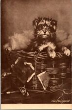 Antique Rafael Tuck & Sons Bavaria Postcard - Terrier in Basket 