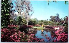 Walkways leading through jungle-like gardens - Cypress Gardens, Florida picture