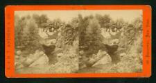 a737, E & H T Anthony Stereoview, #6206, The Cave, Central Park, NY 1870s picture