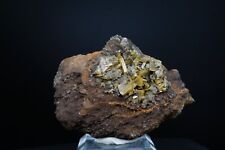Wulfenite & Mimetite / 5.9cm Mineral Specimen / Ojuela Mine, Mexico picture