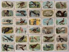 New Series of Birds 30 Card Set Small Size Church & Dwight 1908 J-4 Arm& Hammer picture