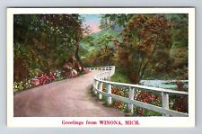 Winona MI-Michigan, General Scenic Greetings, Country Lane, Vintage Postcard picture