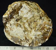 rm69 - Chopstick Sagenite Agate - Madagascar - 4.7 lbs - FREE US SHIPPING #1637 picture