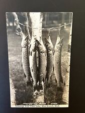 Greetings from Clear Lake West Branch Michigan Northern Pike postcard picture