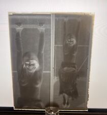 Early 1900s Antique Pin Up Nude 2 Woman Glass Plate Negative Victorian - 5x4 picture