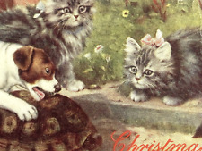 Tucks Cat Christmas Postcard B Cobbe a/s Watch Dog Tries to Bite Turtle Shell picture