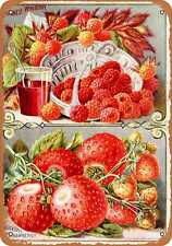 Metal Sign - 1902 Japanese Wineberry and Strawberries -- Vintage Look picture