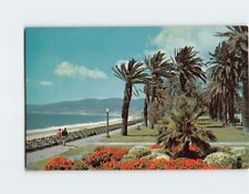 Postcard Gorgeous geranium bed in windswept Palisades Park Santa Monica CA USA picture