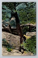 Olean NY-New York, Entrance to the Twin Rocks, Vintage Postcard picture