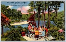 TN - Group of Happy Picnickers at Cumberland Mt. State Park - Vintage Postcard picture
