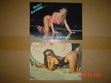 Sexy Postcards with Florida's Real Wildlife and Endangered Species - Lot of 2 picture