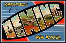Postcard Greetings From Deming NM M55 picture