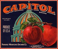 5 Vintage CAPITOL Brand 1920's Apple Fruit Crate Labels Wenatchee, Washington picture