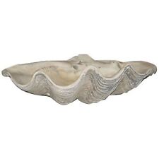 Large Clam Shell picture